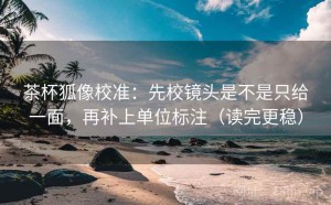 茶杯狐像校准：先校镜头是不是只给一面，再补上单位标注（读完更稳）