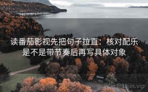 读番茄影视先把句子拉直：核对配乐是不是带节奏后再写具体对象